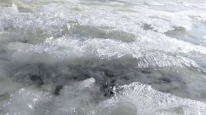 Прекрасная весна. Бегут ручьи🌊.mp4