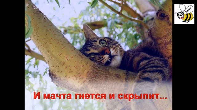 Лермонтов + котики ПАРУС Учить стихи теперь легко! смотреть онлайн