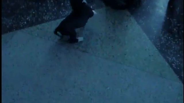 10 5 09 Samira смотреть онлайн