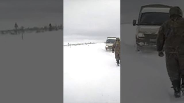 Пурга в марте за нижневартовском.на работу мы не проехали. смотреть онлайн