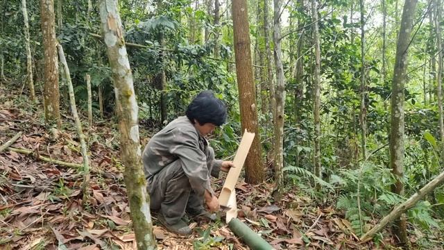 Survival skills. alone in the rainforest. detect traces and create traps to catch porcupines. смотреть онлайн