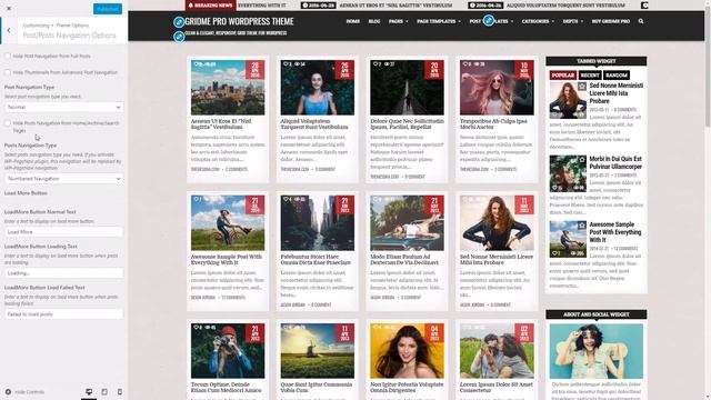 Customizer Theme Options - GridMe PRO WordPress Theme смотреть онлайн