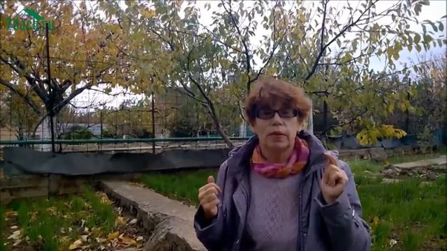 Осенняя побелка деревьев - 7 дач смотреть онлайн