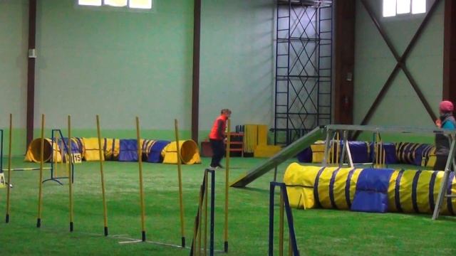 Володина Надежда и той-пудель Ляля. Аджилити смотреть онлайн