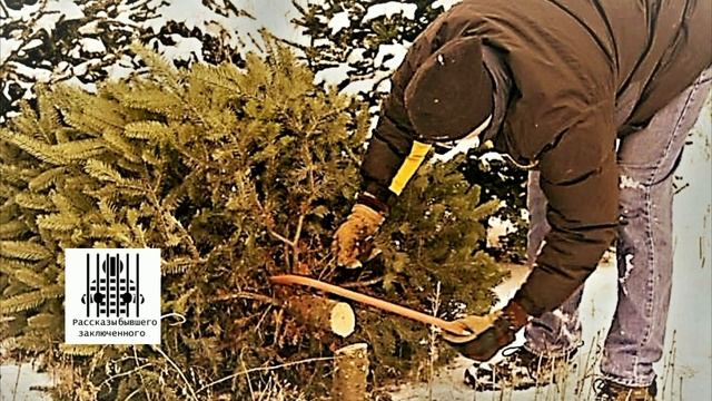 Как меня поставили на учёт в детскую комнату милиции. смотреть онлайн