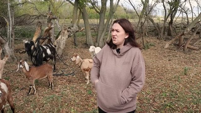 Я СИЛЬНО ОШИБЛАСЬ, ПЕРЕЕХАВ В ДЕРЕВНЮ...НЕ ДЕЛАЙТЕ ЭТОГО!!!! смотреть онлайн