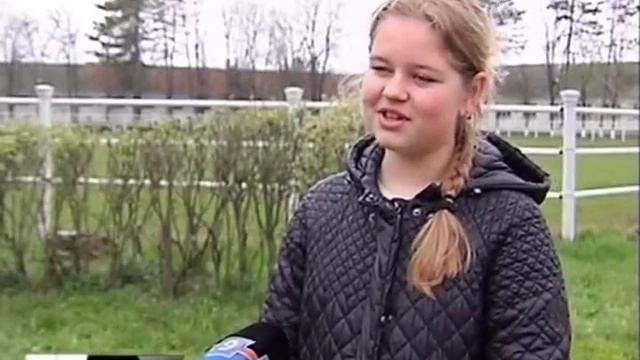 В Новокубанском районе состоялся аукцион английских чистокровных лошадей смотреть онлайн
