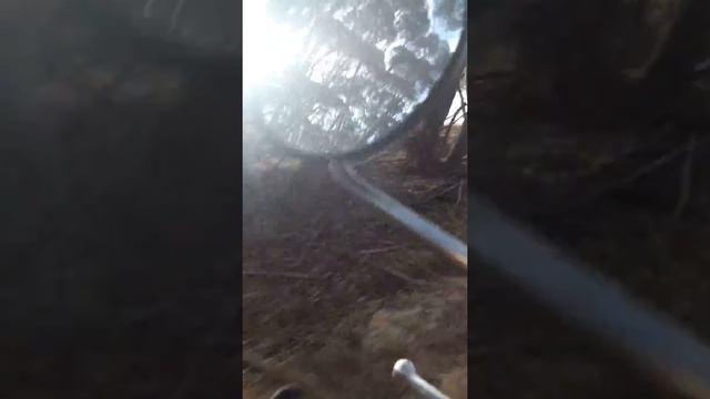По острову Кенгуру на мотоцикле 6 смотреть онлайн