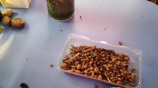 10.04.22.ОРХИДЕЯ со старым пеньком .. пересадка из стеклянной колбы.