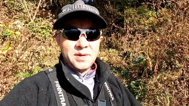 Рыбалки на выходных в конце сентября  Сначала по голавлю, потом за карасем.