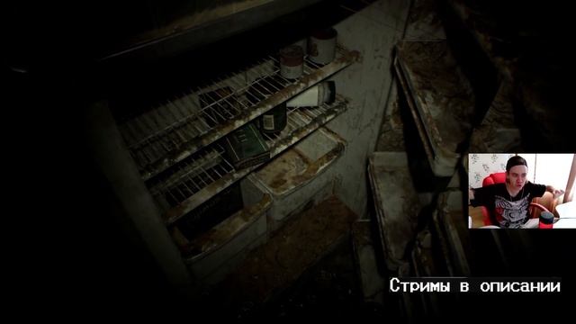 История жизни пельменей смотреть онлайн