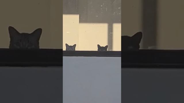 Кажется, меня заметили смотреть онлайн