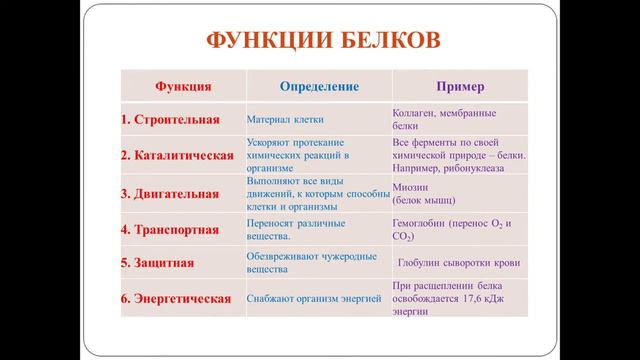 Белки состав, структура и функции смотреть онлайн