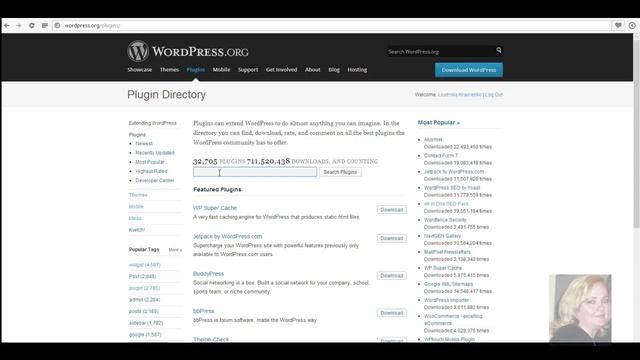 Обзор Word Press и хостинг GoDaddy. Основные настройки.Экскур по сайту. смотреть онлайн