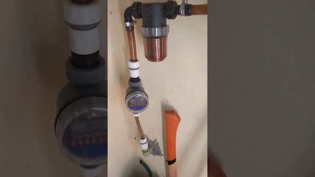 Клюква, голубика и автоматический полив. смотреть онлайн
