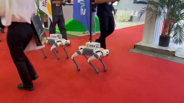 ВНИИЖТ на выставке Transport Logistic China в Шанхае смотреть онлайн