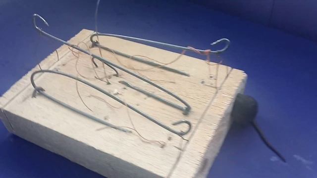 Мимо этой мышеловки мыши не пройдут. смотреть онлайн