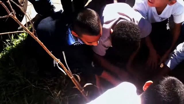 Plantio Fórum Vila Mimosa смотреть онлайн