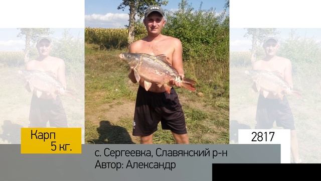 Фотоальбом - Рыбалка №563 смотреть онлайн