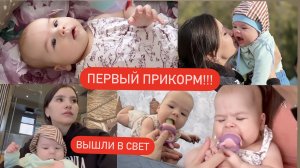 НАЧИНАЕМ ПРИКОРМ В 4 МЕСЯЦА//ПРИЕХАЛА ПОДРУГА//ВЫШЛИ В СВЕТ