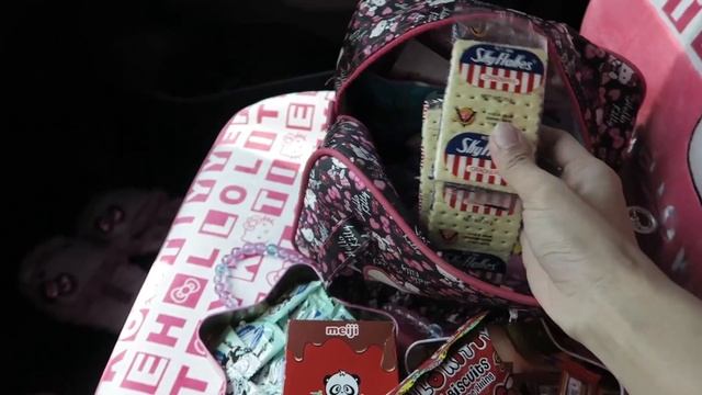 HELLO KITTY CAR TOUR! WHAT'S IN MY CAR? | Rochelle Miko Rivera ♥ смотреть онлайн