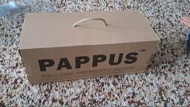Обзор на подушка pappus смотреть онлайн