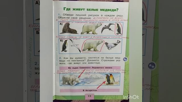 1 класс. ГДЗ. Окружающий мир. Рабочая тетрадь.Часть 2 Страницы 9-10. С комментированием. смотреть онлайн