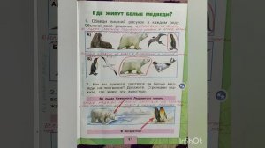 1 класс. ГДЗ. Окружающий мир. Рабочая тетрадь.Часть 2 Страницы 9-10. С комментированием.