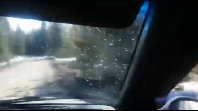 Ssangyong Musso 1995 г.в. #СиняяСинь дрифт на носороге