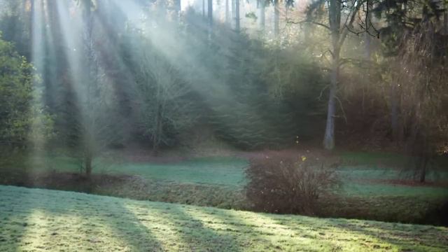 Study Music, Focus Music, Meditation, Concentration Music, Work Music, Relaxing Music, Study, ☯338