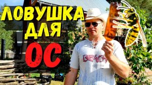 САМАЯ ЭФФЕКТИВНАЯ ЛОВУШКА НА ОС И ШЕРШНЕЙ #49