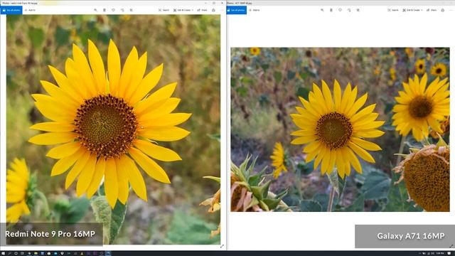 Redmi Note 9 Pro vs Galaxy A71 Camera Comparison - 64MP Battle! смотреть онлайн