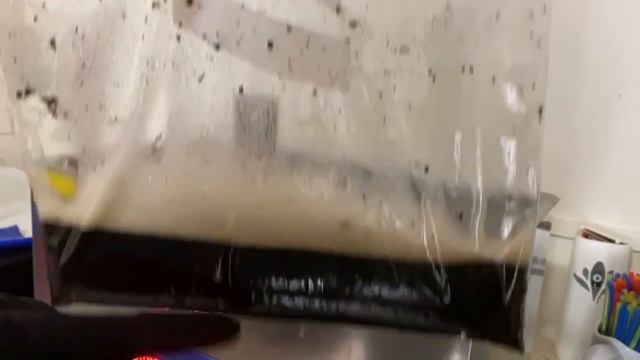 How To Clean a Build-A-Bong | Behind The Cleans #14 смотреть онлайн