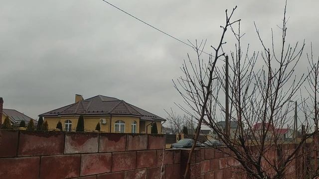 Весенняя обрезка Мушмулы смотреть онлайн