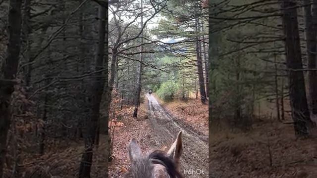 Конный клуб ?Красный Камень? смотреть онлайн