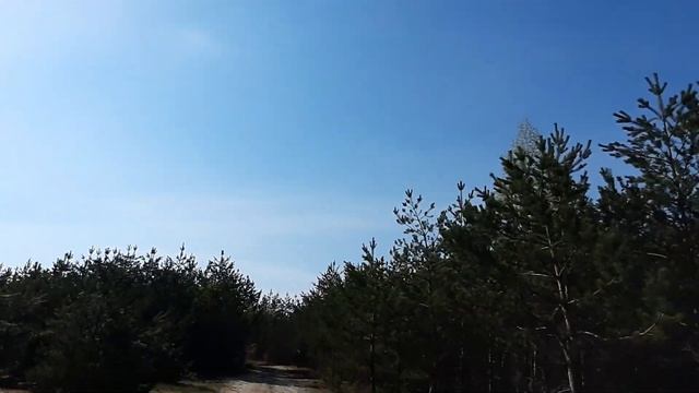Что делать с фиалками в МАЕ? Готовимся к лету! смотреть онлайн