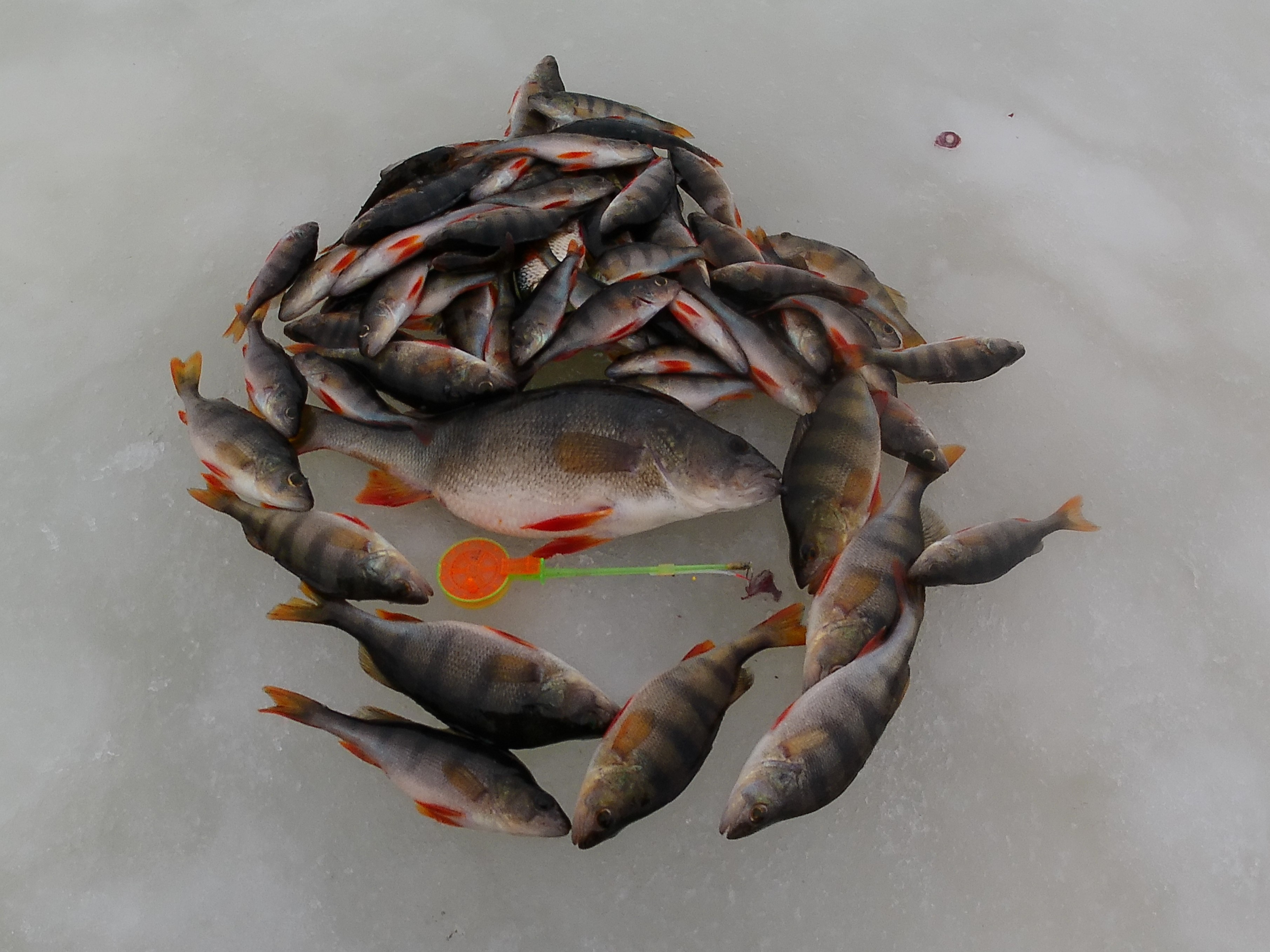 Большая оттепель! (2)