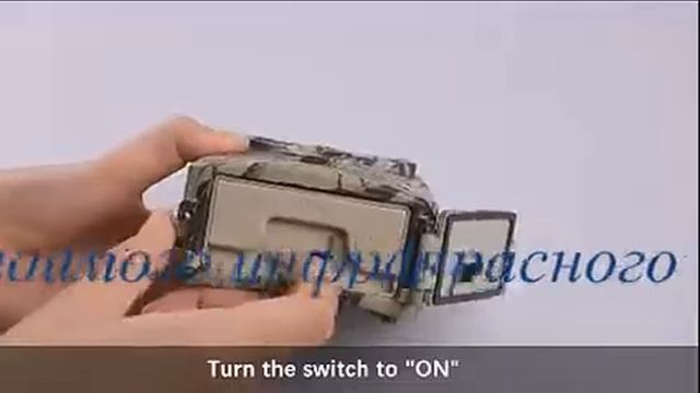 Видеокамера для любителей наблюдения за животными. смотреть онлайн