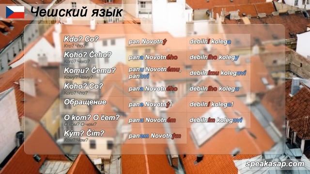 Прилагательные мужского рода. Одушевленные. Чешский. смотреть онлайн