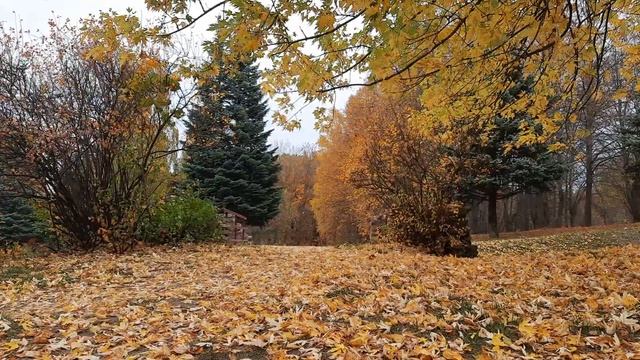 Вернуться. Часть 2. (В нём Демон) | Страшная стория смотреть онлайн