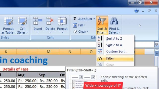 excel mein filter kaise lagate hain | excel mein filter lagaye смотреть онлайн