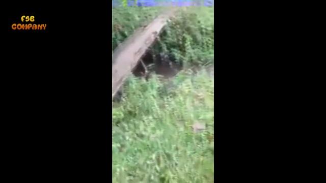 Решил поставить мопед на козу смотреть онлайн