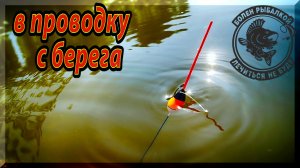 _Твичинг_ с поплавком. Как быстро собрать рыбу. Ловля в проводку с берега на удочку. Рыбалка на Оке.