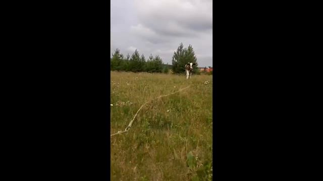 Воскресное утро на нашей ферме, 10 07 22