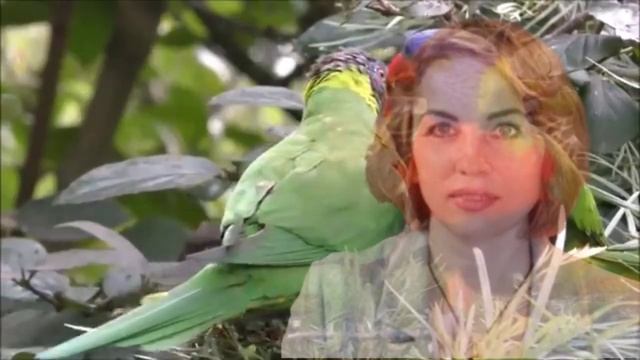 ?Пространство Бога. Рассказ Алены Николаевны. смотреть онлайн