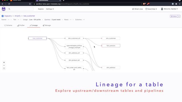 OpenMetadata 0.5  -   Lineage