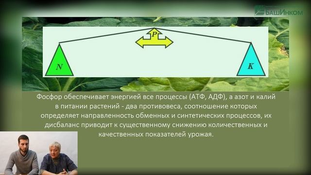 Увеличить урожайность овощных культур на 15-25 % – реально! смотреть онлайн