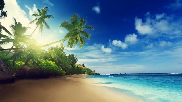 Медитация-практика на благополучное разрешение ситуации смотреть онлайн