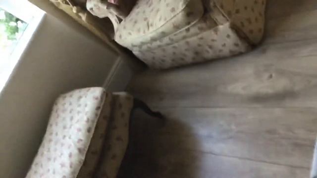 MSI 24” G241 Series Curved Gaming Monitor Unboxing video смотреть онлайн