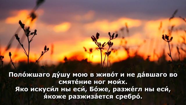 СИЛЬНАЯ МОЛИТВА ОТ ПЛЕНА ДЬЯВОЛА И ВРАГА РОДА ЧЕЛОВЕЧЕСКОГО. ПСАЛОМ 65. смотреть онлайн